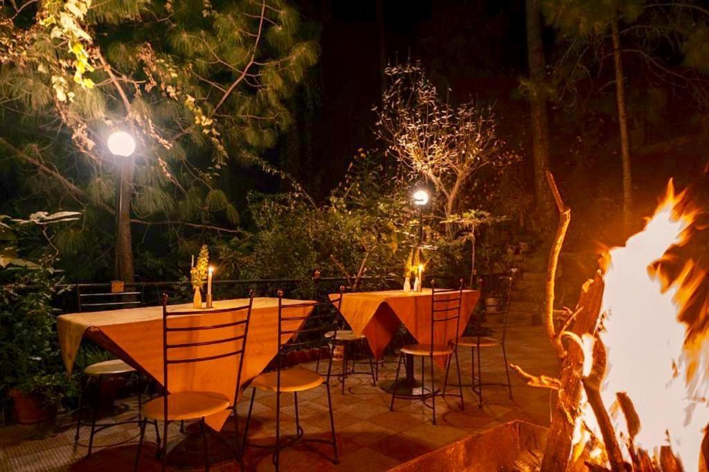 Nature View Resort !! A Four Star Lavish & Luxury Resort Chail Extérieur photo
